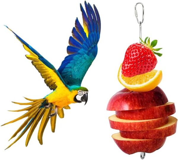 3PCS Bird Cage Feeder，Bird Food Holder,Bird Cage Food Holder Parrot Fruit Vegetable Skewer,Bird Cage Feeder Foraging Toy for Parakeet Budgie Macaw,Parakeet Cage Accessories,Bird Toys for Conures - Image 3