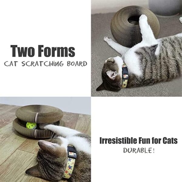 Magic Cat Scratching Board with a Toy Bell Ball, Funny Interactive Foldable Convenient Organ Cat Scratcher Exercise Puzzle Kitten Toys - Image 3